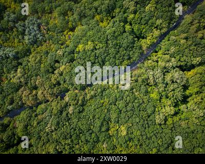 Vidéo de drone d'une voiture conduisant à travers une route sinueuse entourée d'une forêt verte dense. La vue aérienne sereine capture la beauté et la tranquillité de Banque D'Images