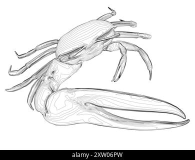 Contour d'un crabe avec une énorme griffe faite de lignes noires isolées sur un fond blanc. Illustration de Vecteur