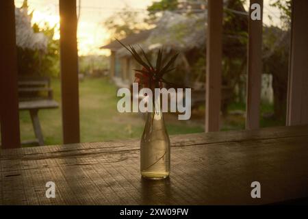 Tabanan, Bali, Indonésie - 9 août 2024 : vue sur un jardin herbeux et coucher de soleil depuis la fenêtre d'une terrasse de maison en bois, avec une table rustique Banque D'Images