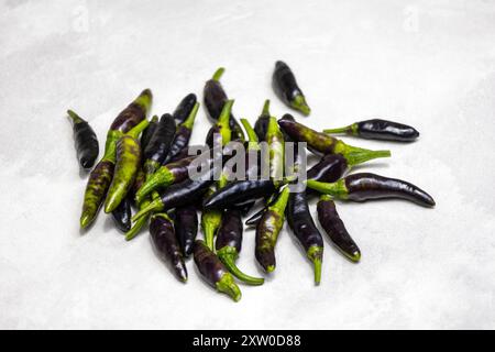 Piments noirs frais sur fond blanc. Banque D'Images