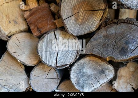 Un gros plan de bois de chauffage empilé dans un magasin de rondins dans un jardin dans le Suffolk, Royaume-Uni Banque D'Images