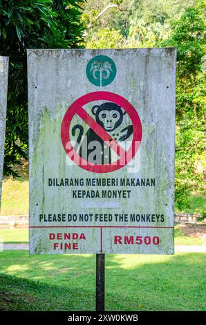 Un panneau informe les gens que nourrir des singes n'est pas autorisé dans les jardins botaniques de Penang à George Town, Penang, Malaisie Banque D'Images