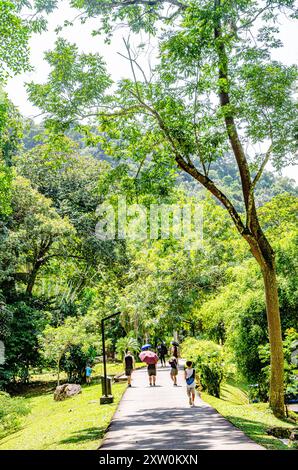 Les visiteurs marchent le long d'une route qui traverse les jardins botaniques de Penang, Pulau Pinang, Malaisie Banque D'Images