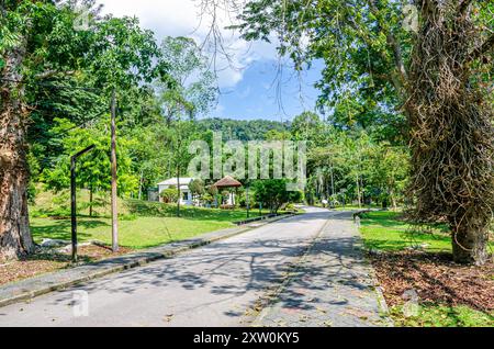 Une vue le long d'une route traversant les jardins botaniques de Penang, Pulau Pinang, Malaisie Banque D'Images