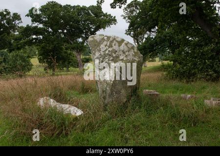 Standing Stone, Castle Ward, County Down, Irlande du Nord Banque D'Images