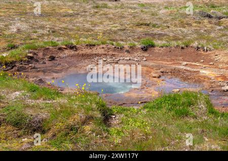 Geysir Iceland, petits geysers en développement dans le domaine thermique Banque D'Images