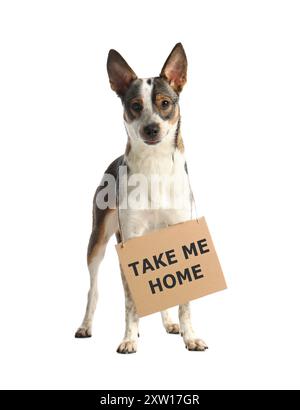 Chien mignon avec signe Take me Home sur fond blanc. Adoption d'animaux de compagnie Banque D'Images