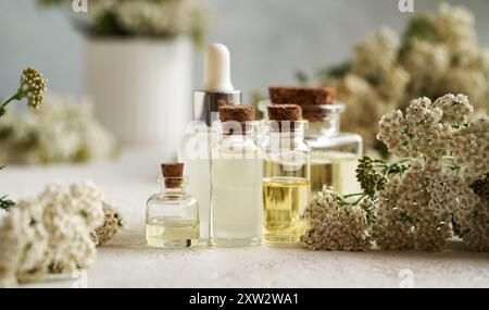 Huile essentielle de Yarrow avec des fleurs fraîches d'Achillea millefolium sur une table Banque D'Images