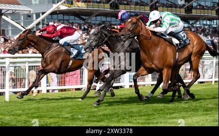 Newbury, Berkshire ; Tiber Flow et le jockey Tom Marquand remportent les BetVictor Hungerford Stakes 2024 du Groupe 2 pour l’entraîneur William Haggas et les propriétaires Jon et Julia Aisbitt. Crédit JTW Equine images / Alamy Live News. Banque D'Images