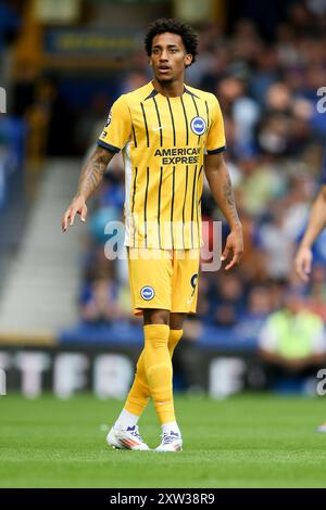 Liverpool, Royaume-Uni. 17 août 2024. Joao Pedro de Brighton & Hove Albion regarde. Premier League match, Everton v Brighton & Hove Albion au Goodison Park à Liverpool le samedi 17 août 2024. Cette image ne peut être utilisée qu'à des fins éditoriales. Usage éditorial exclusif, photo de Chris Stading/Andrew Orchard photographie sportive/Alamy Live News crédit : Andrew Orchard photographie sportive/Alamy Live News Banque D'Images
