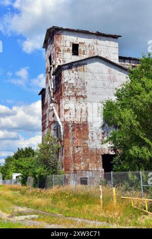 Cayuga, Illinois, États-Unis. Cayuga grain Elevator le long d'une section de l'ancienne et historique route 66 des États-Unis dans l'Illinois. Banque D'Images