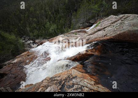 South East Brook Falls, parc national du gros-Morne, Terre-Neuve-et-Labrador, T.-N.-L., Canada Banque D'Images