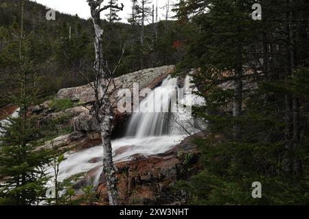 South East Brook Falls, parc national du gros-Morne, Terre-Neuve-et-Labrador, T.-N.-L., Canada Banque D'Images