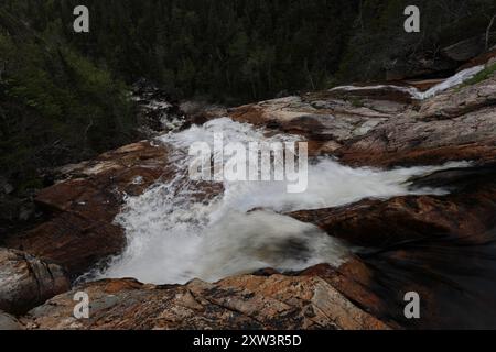 South East Brook Falls, parc national du gros-Morne, Terre-Neuve-et-Labrador, T.-N.-L., Canada Banque D'Images