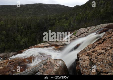 South East Brook Falls, parc national du gros-Morne, Terre-Neuve-et-Labrador, T.-N.-L., Canada Banque D'Images