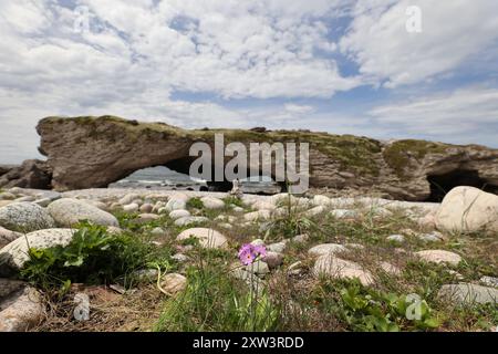 Arc rocheux naturel du parc provincial Arches à Portland Creek, sur la côte de la péninsule Northern de Terre-Neuve Banque D'Images