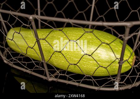 Une courgette mûre dans un panier, macro, isolée sur fond noir. Banque D'Images