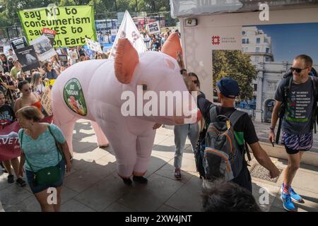 Londres, Royaume-Uni. 17 août 2024. Un cochon géant en marche. Plusieurs milliers de personnes défilent de Marble Arch à un rassemblement sur la place du Parlement pour exiger que les animaux ne soient pas traités comme des biens ou des ressources pour les humains. Ils réclament que les cages soient vidées, que les essais sur les animaux soient terminés et qu'il soit mis fin à toute utilisation des animaux à quelque fin que ce soit, et demandent "la libération des animaux MAINTENANT!" Peter Marshall/Alamy Live News Banque D'Images