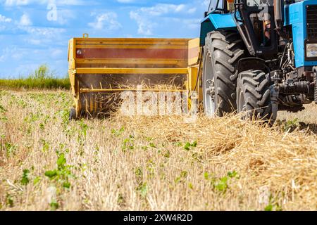 Un tracteur avec un outil tracté machine de mise en balles de paille recueille des rouleaux dans le domaine et fait de grosses balles rondes Banque D'Images