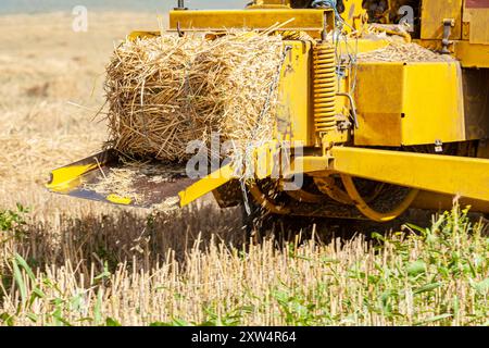 Le tracteur fait des balles de foin dans le champ avec de l'herbe sèche Banque D'Images