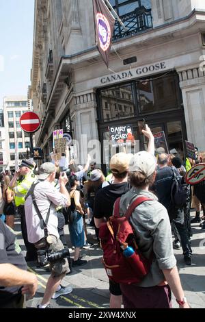 la marche des droits des animaux attire les végétaliens passionnés anti-vivisectionistes aux côtés des saboteurs de chasse démontrant la colère qu'ils ressentent Banque D'Images