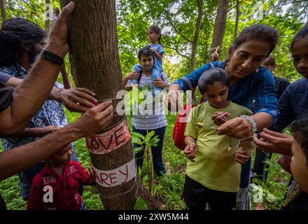 Mumbai, Inde. 17 août 2024. MUMBAI, INDE - 17 AOÛT : les amoureux de la nature à Mumbai ont célébré Raksha Bandhan en attachant des rakhis aux arbres dans la colonie d'Aarey, le 17 août 2024 à Mumbai, en Inde. (Photo de Satish Bate/Hindustan Times/Sipa USA ) crédit : Sipa USA/Alamy Live News Banque D'Images