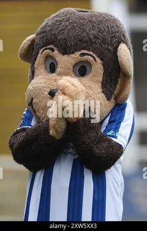 La mascotte de Hartlepool United H'Angus lors du match de la Ligue nationale de Vanarama entre Hartlepool United et Southend United à Victoria Park, Hartlepool le samedi 17 août 2024. (Photo : Mark Fletcher | mi News) crédit : MI News & Sport /Alamy Live News Banque D'Images