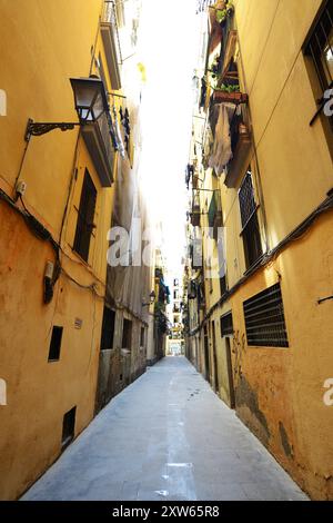 La colorée Carrer de la Riera Baixa à Barcelone, Espagne Banque D'Images