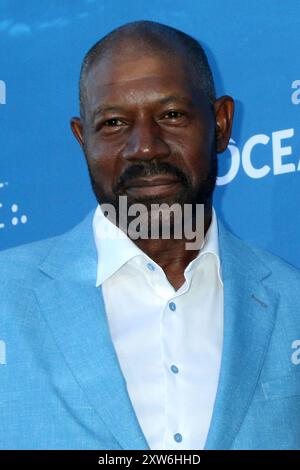 LOS ANGELES - 17 août : Dennis Haysbert à la 17e soirée estivale annuelle SeaChange à la résidence privée le 17 août 2024 à Laguna Beach, CA Banque D'Images