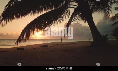 Femme marche paisiblement sur une plage tropicale au coucher du soleil, encadrée par une silhouette de palmier Banque D'Images