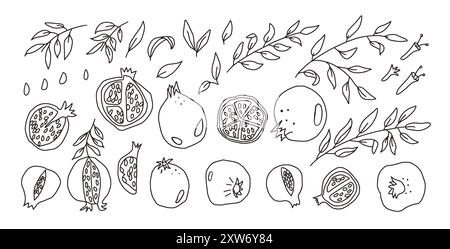 Ensemble de grenades Doodle. Illustration de collection de fruits mûrs noirs et blancs dessinée à la main et de feuilles isolée sur fond blanc. Illustration de Vecteur
