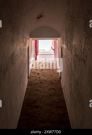 Visite gratuite à l'intérieur des arènes de Melilla, Espagne. La seule arène fonctionnelle de tout le continent africain. Banque D'Images