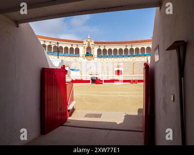 Visite gratuite à l'intérieur des arènes de Melilla, Espagne. La seule arène fonctionnelle de tout le continent africain. Banque D'Images