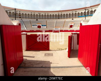 Visite gratuite à l'intérieur des arènes de Melilla, Espagne. La seule arène fonctionnelle de tout le continent africain. Banque D'Images