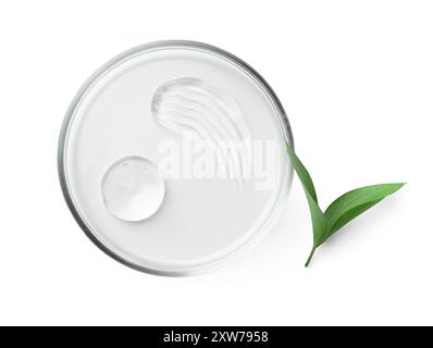 Boîte de Pétri avec produit cosmétique et feuilles isolées sur blanc, vue de dessus Banque D'Images