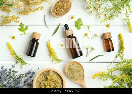 Teintures en bouteilles et différentes herbes médicinales sur table en bois blanc, pose à plat Banque D'Images