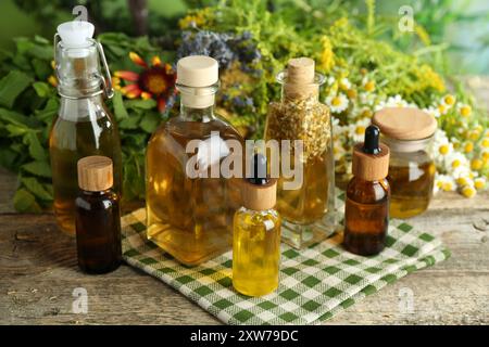 Différentes teintures en bouteilles et herbes médicinales sur table en bois Banque D'Images