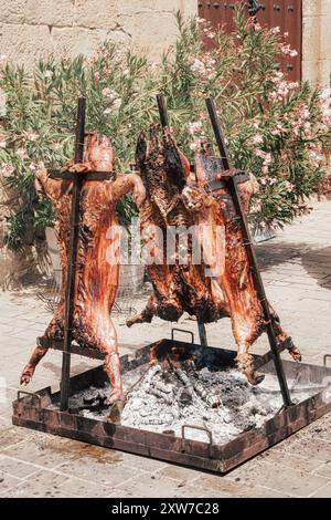 Torréfaction traditionnelle à Olite : cochons sur une broche contre un mur de pierre et fleurs en fleurs (Navarre, Espagne) Banque D'Images