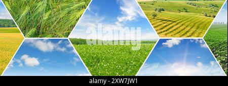 Vue panoramique du champ vert et du ciel bleu avec des nuages légers. Collage. Photo grand angle. Banque D'Images