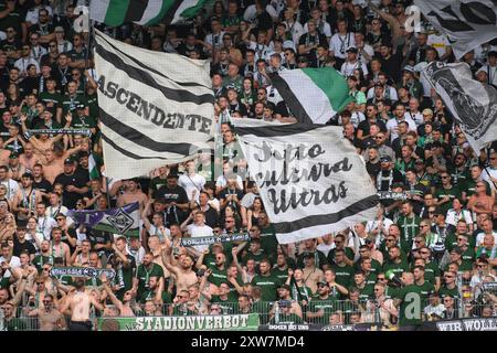 Fans von Borussia Moenchengladbach. FC Erzgebirge Aue v. Borussia Moenchengladbach, Fussball, DFB-Pokal, 1. Runde, saison 2024/2025, 17.08.2024 LES RÈGLEMENTS DFB/DFL INTERDISENT TOUTE UTILISATION DE PHOTOGRAPHIES COMME SÉQUENCES D'IMAGES ET/OU QUASI-VIDÉO Foto : Eibner-Pressefoto/Bert Harzer Banque D'Images