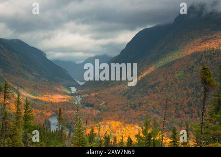 Feuillage d'automne dans le parc national de la rivière Malbais Banque D'Images