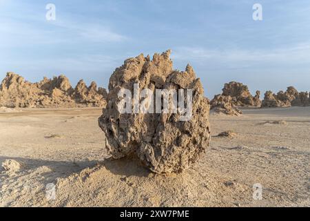 Cheminées préhistoriques formations rocheuses minérales, ancien fond du lac salé Abbé, région de Dikhil, Djibouti Banque D'Images