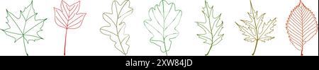 Feuilles d'arbre dans la conception de contour. Feuilles d'arbres de différentes formes. Feuilles de chêne, d'érable, de bouleau sur fond transparent Banque D'Images