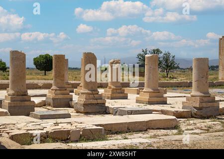 Le Palais privé-pasargadae-shiraz-iran Banque D'Images