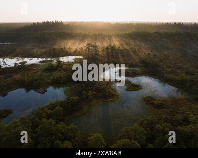 Nature de l'Estonie, marais de Seli au lever du soleil, brouillard des lacs, vue photo depuis un drone. Banque D'Images