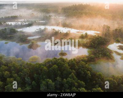 Nature de l'Estonie, marais de Seli à l'aube, brouillard des lacs, vue photo depuis un drone. Banque D'Images