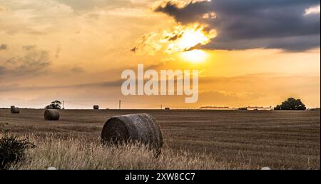 Un coucher de soleil dans un champ de maïs avec des balles de paille rondes. Banque D'Images