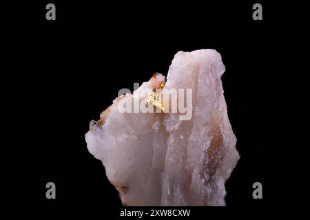 Or natif sur quartz de Sierra de la Chimenea, Espagne. photographie isolée sur fond noir. macro détail gros plan cristal minéral non poli se Banque D'Images