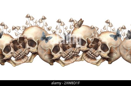Crâne réaliste, champignons vénénéneux et papillons. Cadre sans couture aquarelle, dessiné à la main dans un style gothique. Pour Halloween, le jour mexicain des morts SY Banque D'Images