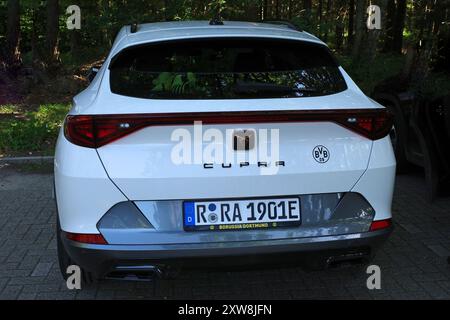 Tterbeck, Allemagne - 12 août 2024 vue de fond sur un Cupra E-Hybrid blanc. Il est garé devant un bois Banque D'Images